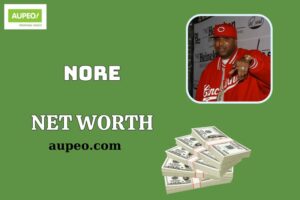 Nore Wealth, Salary and Financial Overview
