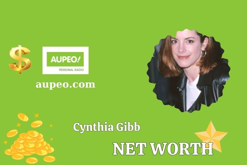 How much does Sinctia Gibi cost in 2025