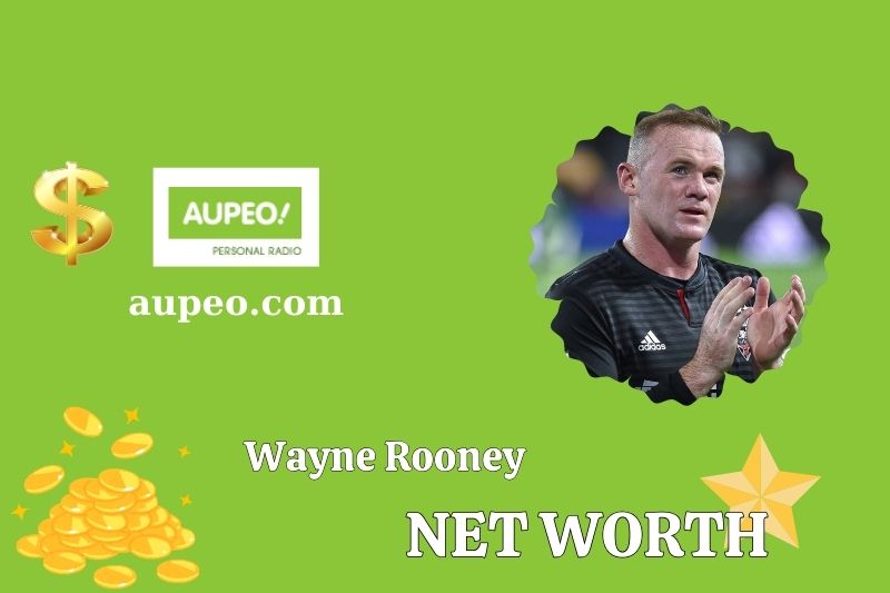 What is the net value of Wayne Run in 2025