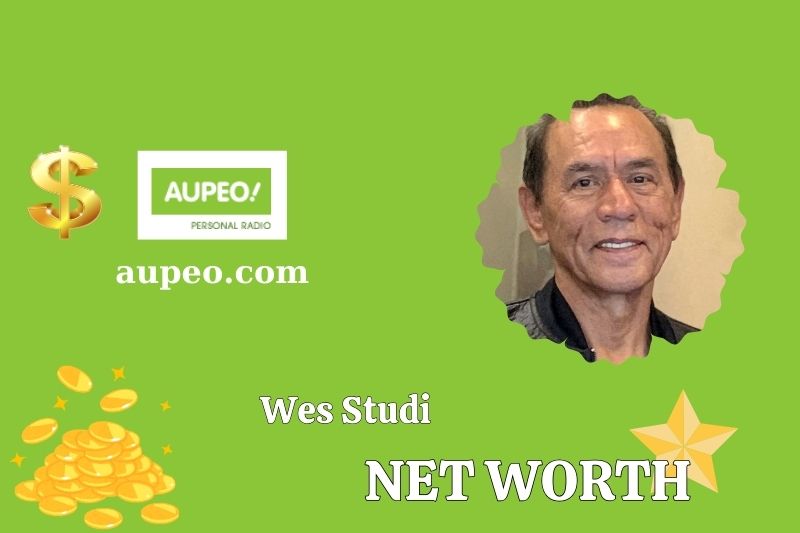 What is the net value of WES Studi in 2025