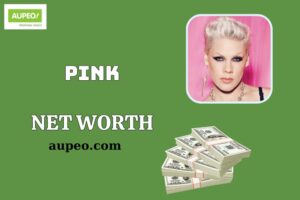 Pink Wealth, Salary and Financial Overview