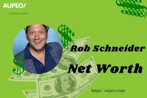Rob Schneider Wealth, Salary and Finance Overview