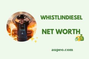 Whistlindiesel Wealth, Salary, and Financial Overview