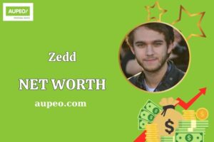 Zedd Wealth, Salary, and Financial Overview