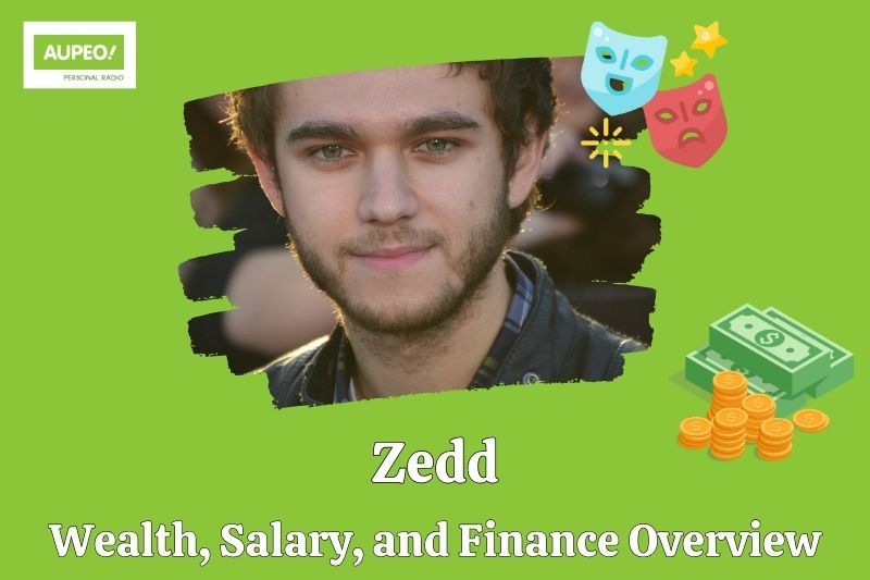 Zedd wealth, salary and financial review