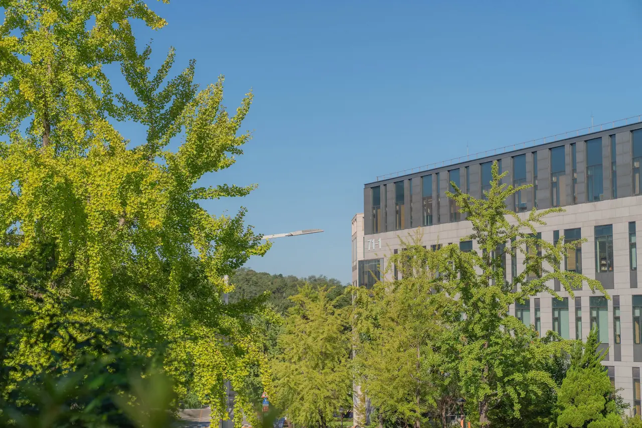 Tòa nhà hiện đại trong khuôn viên Đại học Quốc gia Seoul rợp bóng cây xanh rực rỡ dưới nắng