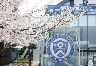 Biểu tượng Đại học Yonsei nổi bật bên cành hoa anh đào nở rộ mùa xuân